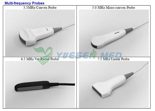 Escáner de ultrasonido veterinario portátil YSB2018V