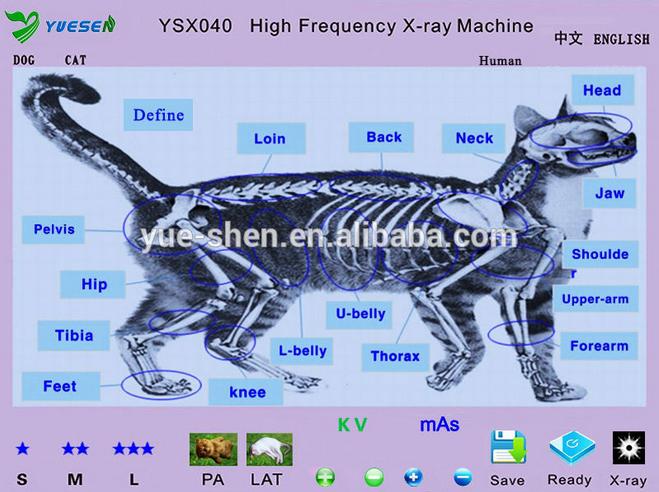 MÃ¡quina de rayos X de 4.0kW Toshiba Tube Vet con mesa YSX040-B