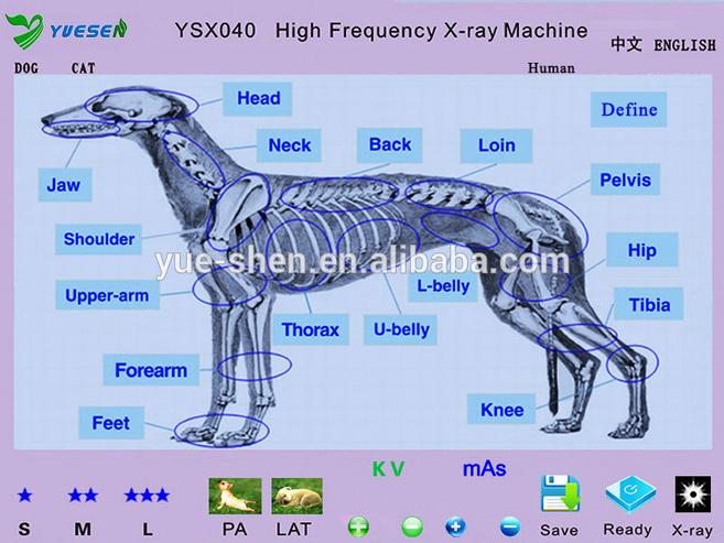 Máquina de rayos X de 4.0kW Toshiba Tube Vet con mesa YSX040-B